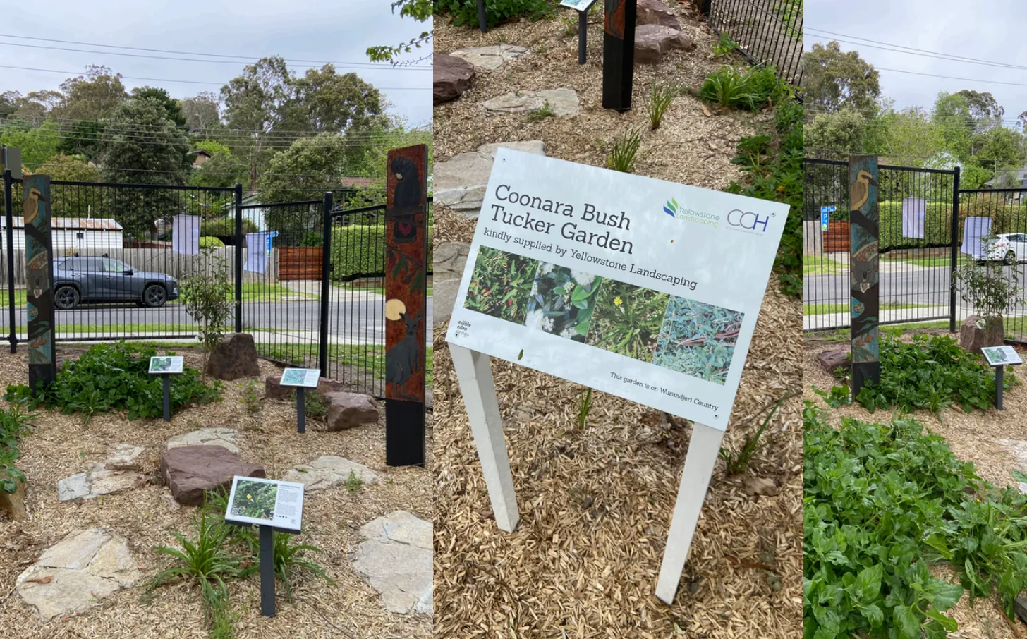 Indigenous garden at Coonara Community House